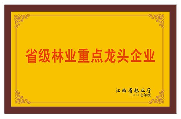 中國板材十大品牌之省級林業(yè)重點龍頭企業(yè)